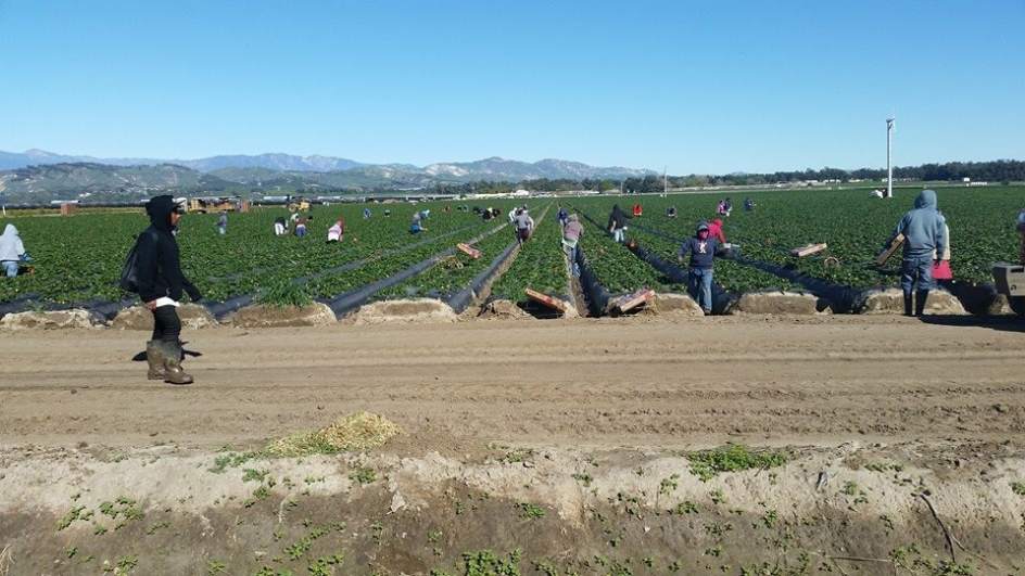 La sequía en California ahoga a los inmigrantes: ya se ha
