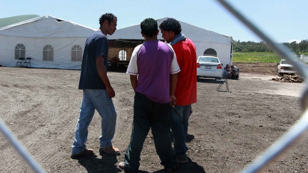 Indocumentados Indocumentados