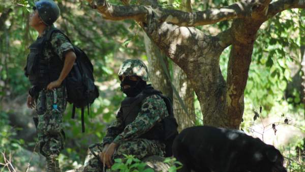 Lucha contra el narcotráfico Lucha contra el narcotráfico