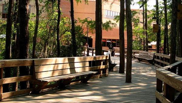 Universidad Central de Florida Universidad Central de Florida