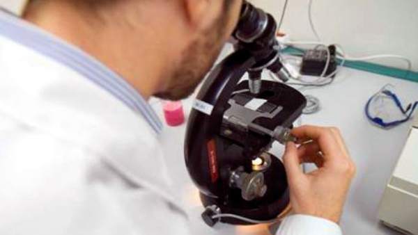 Investigación Investigación
