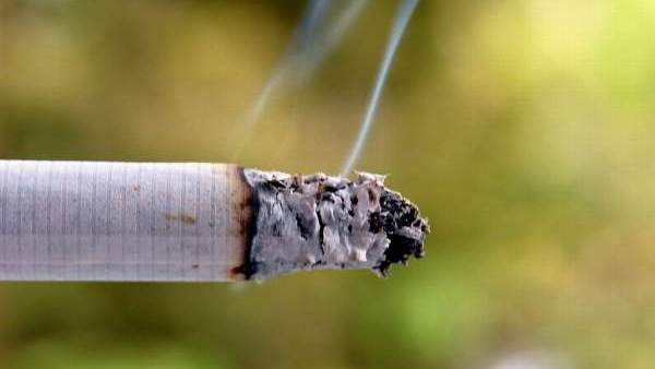 cigarro cigarro