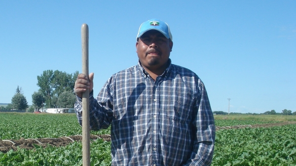 Reforma migratoria en el campo Reforma migratoria en el campo