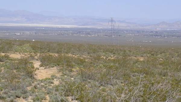 Desierto de Mojave Desierto de Mojave
