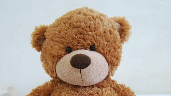 Osito de peluche Osito de peluche