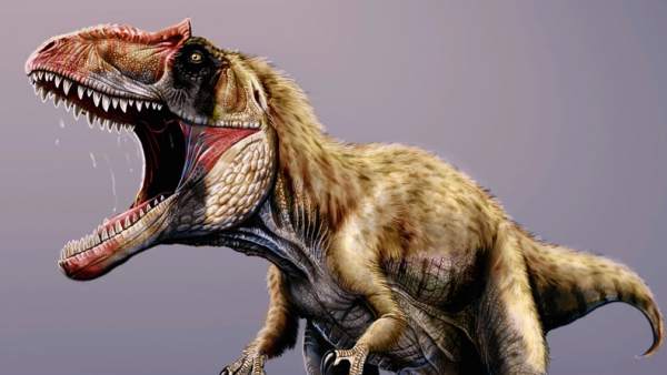 Descubren un nuevo dinosaurio Descubren un nuevo dinosaurio