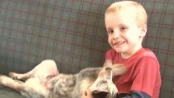 Hunter Yelton, niño acusado de acoso sexual Hunter Yelton, niño acusado de acoso sexual