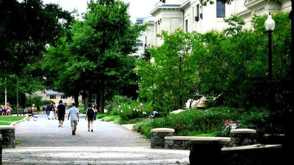 American University American University