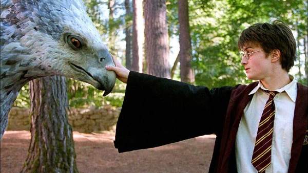 Harry Potter Harry Potter