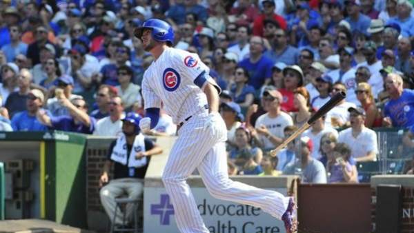 Cubs Cubs