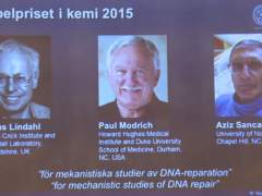 Tres científicos ganan el Nobel de Química por estudio sobre el ADN
