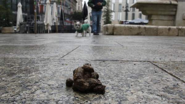 Cacas de perro Cacas de perro